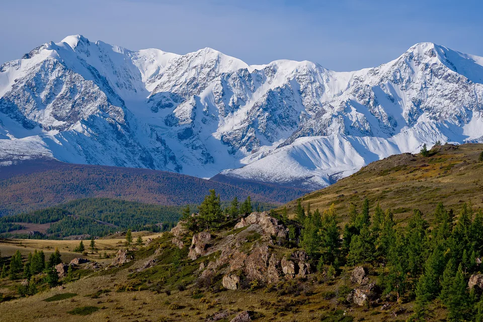 Snow-covered mountain range above larch-covered hills in the Altai
