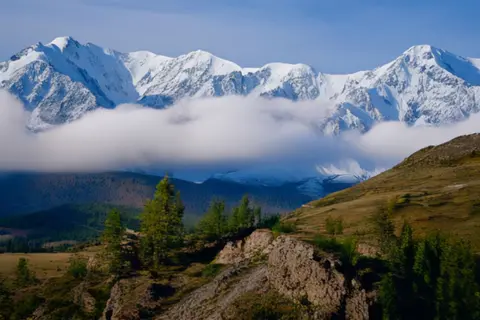 Pika 2.2 clip: snow-covered mountain range above larch-covered hills in the Altai
